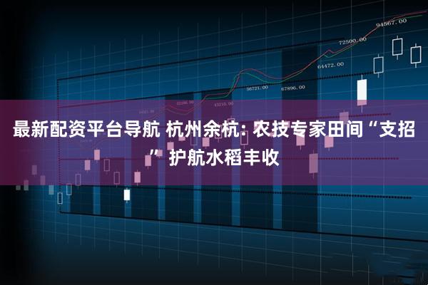 最新配资平台导航 杭州余杭: 农技专家田间“支招” 护航水稻丰收