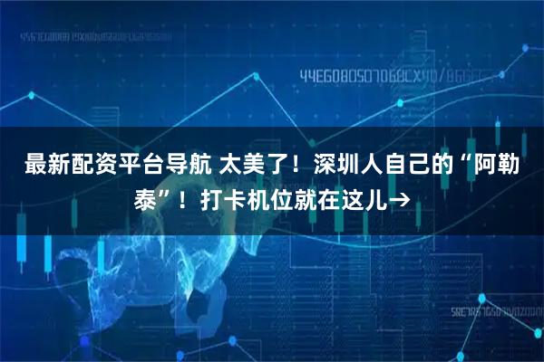 最新配资平台导航 太美了！深圳人自己的“阿勒泰”！打卡机位就在这儿→