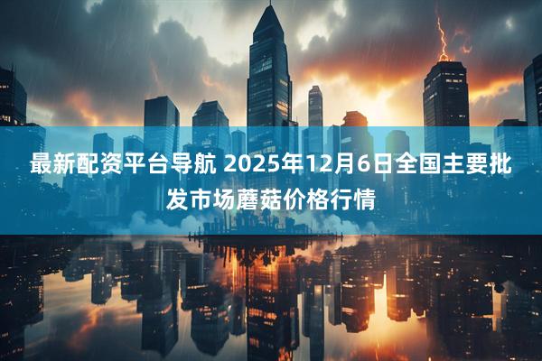 最新配资平台导航 2025年12月6日全国主要批发市场蘑菇价格行情