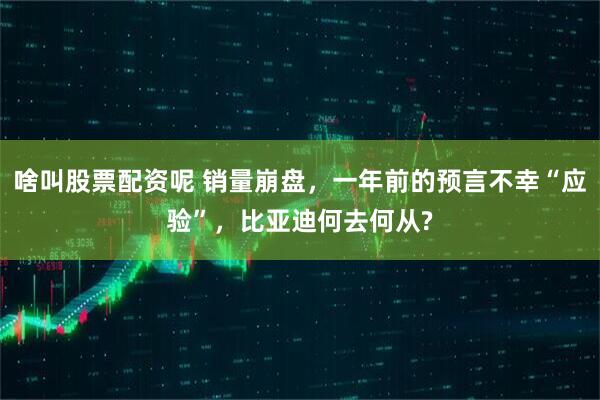 啥叫股票配资呢 销量崩盘，一年前的预言不幸“应验”，比亚迪何去何从?