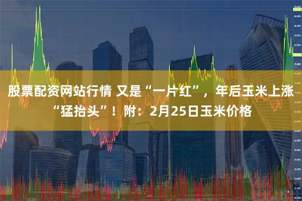股票配资网站行情 又是“一片红”，年后玉米上涨“猛抬头”！附：2月25日玉米价格